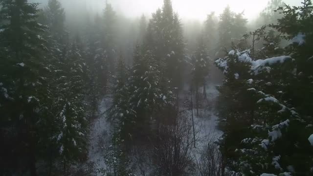 Aerial View of freezing fog in the Okanagan Highlands