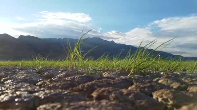 Alvord Desert (36125658302)