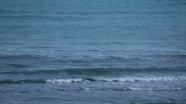 Ocean surface waves