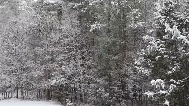 Snow falling in Charlton MA 2025 12 14