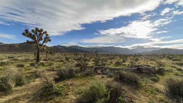 Timelapse Joshua Tree Clouds and Sunset Near West Entrance